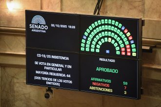 Un nuevo revés para el Gobierno: El Senado rechazó los vetos al Financiamiento Universitario y a la Emergencia en Pediatría