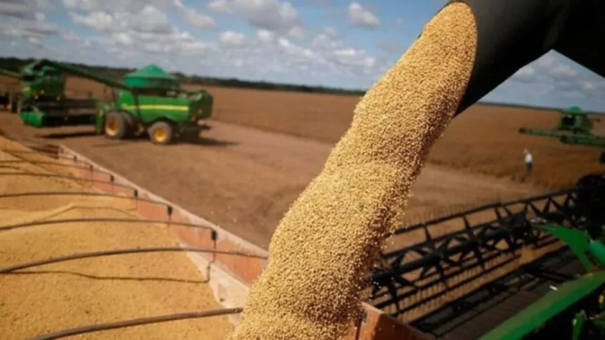 Luis Caputo anunció una baja de retenciones a las exportaciones de granos